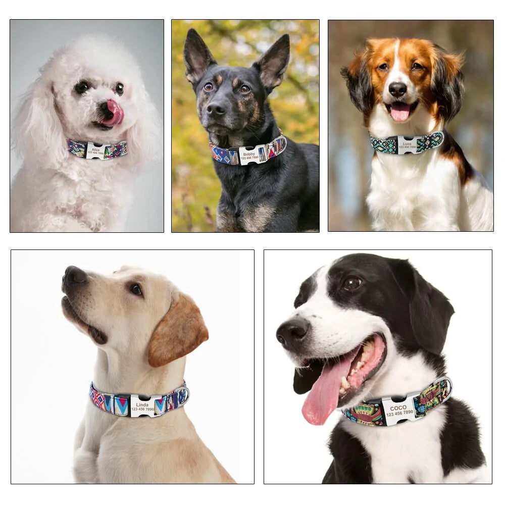 Personalized Nylon Pet Dog Tag Collar