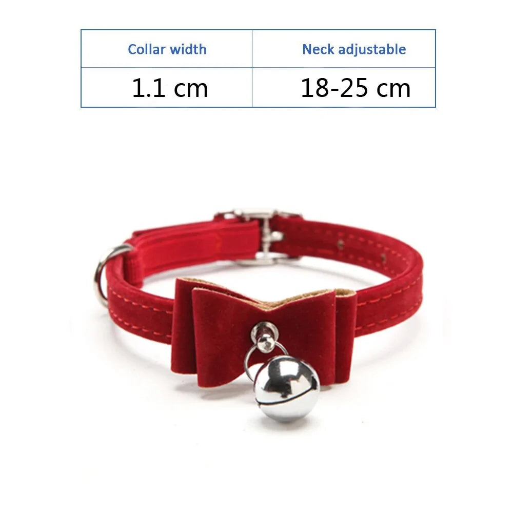 Kitten Puppy Leash Collars